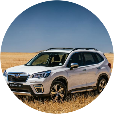 Ремонт Диагностика Subaru Forester